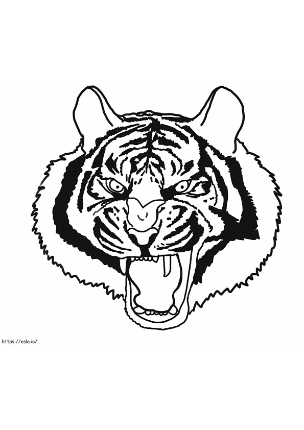 Fronte arrabbiato della tigre da colorare