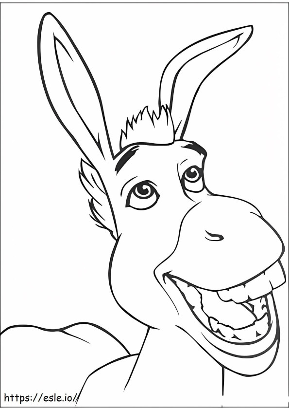 1532704019 Donkey Smiling A4 coloring page
