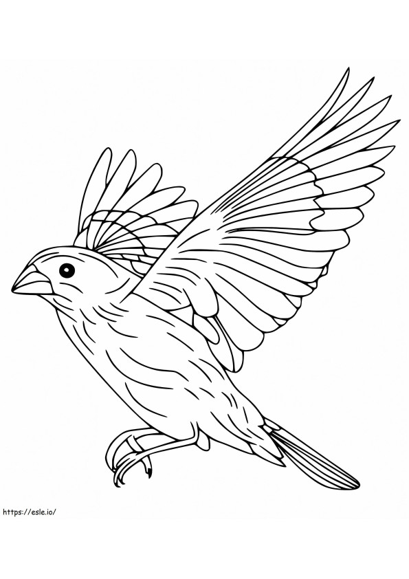 Coloriage Oiseau bleu 2 à imprimer dessin