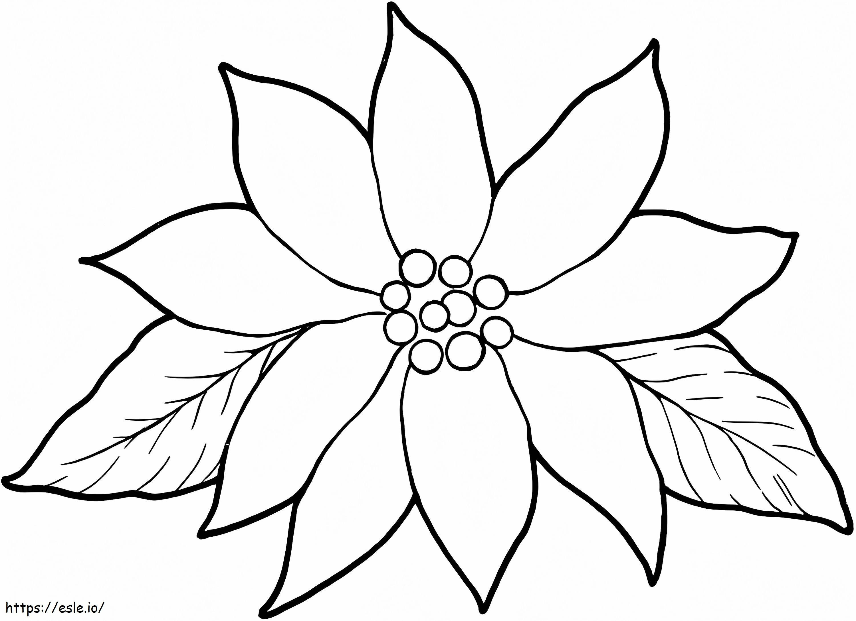 Basic Poinsettia coloring page