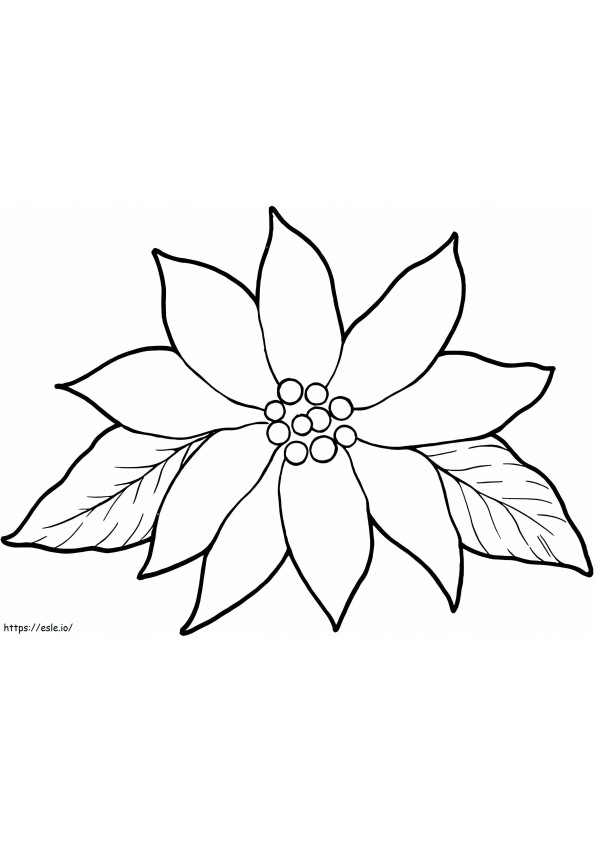 Coloriage Poinsettia de base à imprimer dessin