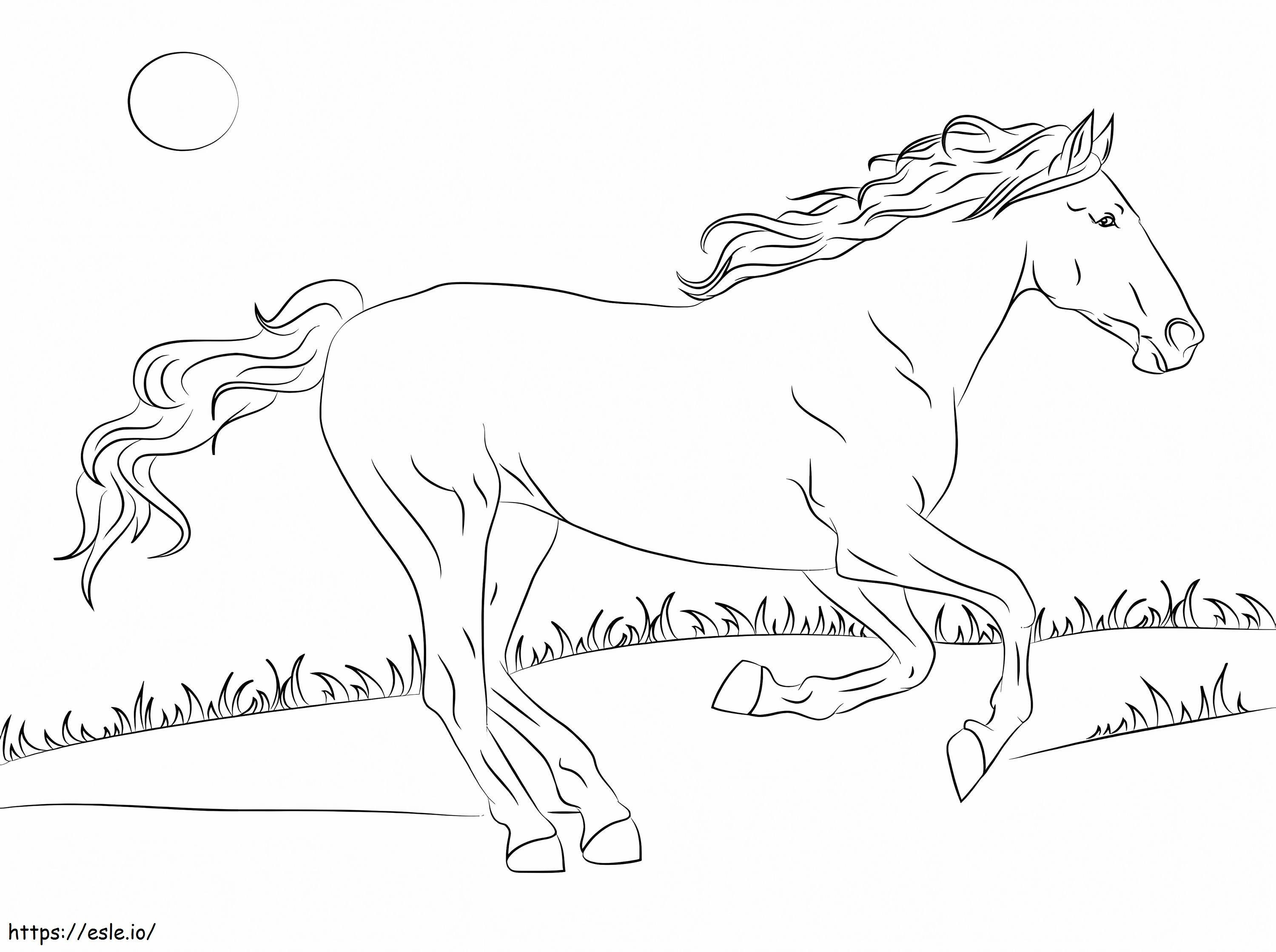 Coloriage Beau cheval Mustang à imprimer dessin