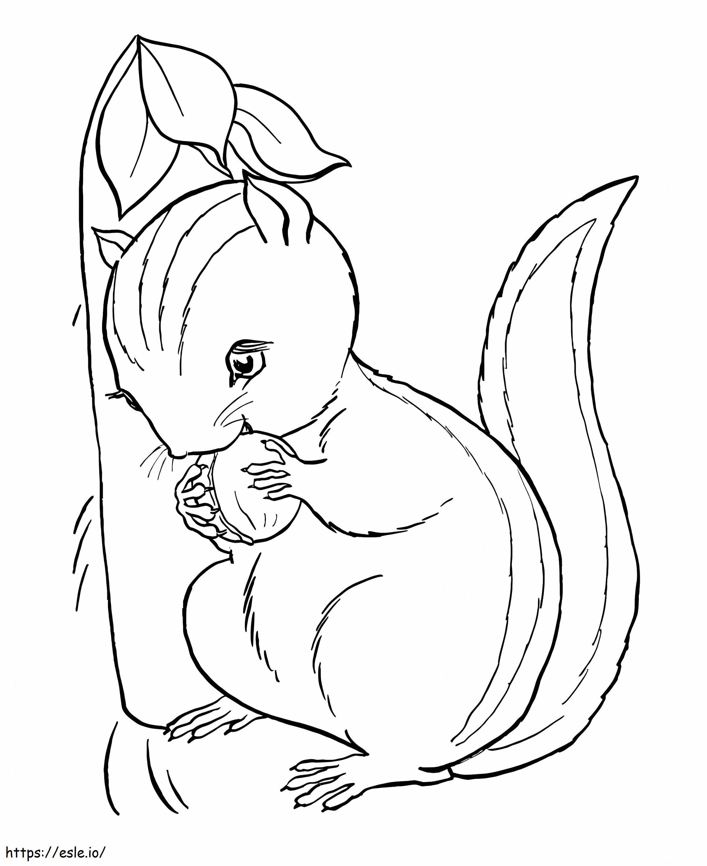 Lovely Chipmunk coloring page