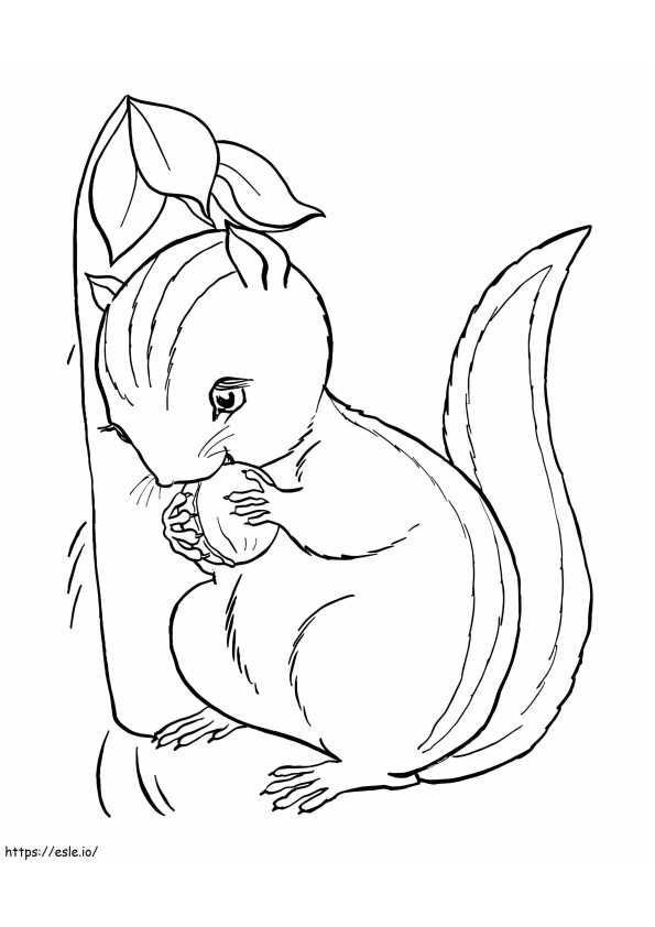 Lovely Chipmunk coloring page