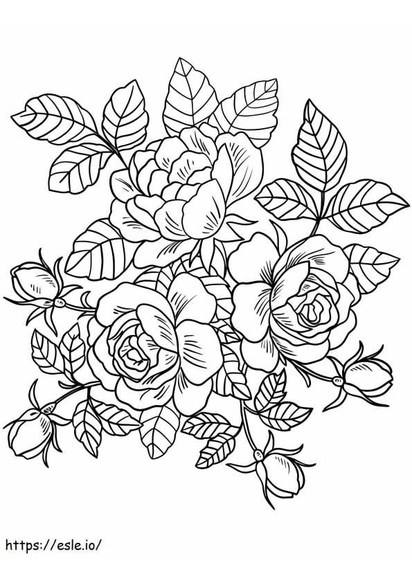 1528163988 Roses Flowersa4 coloring page
