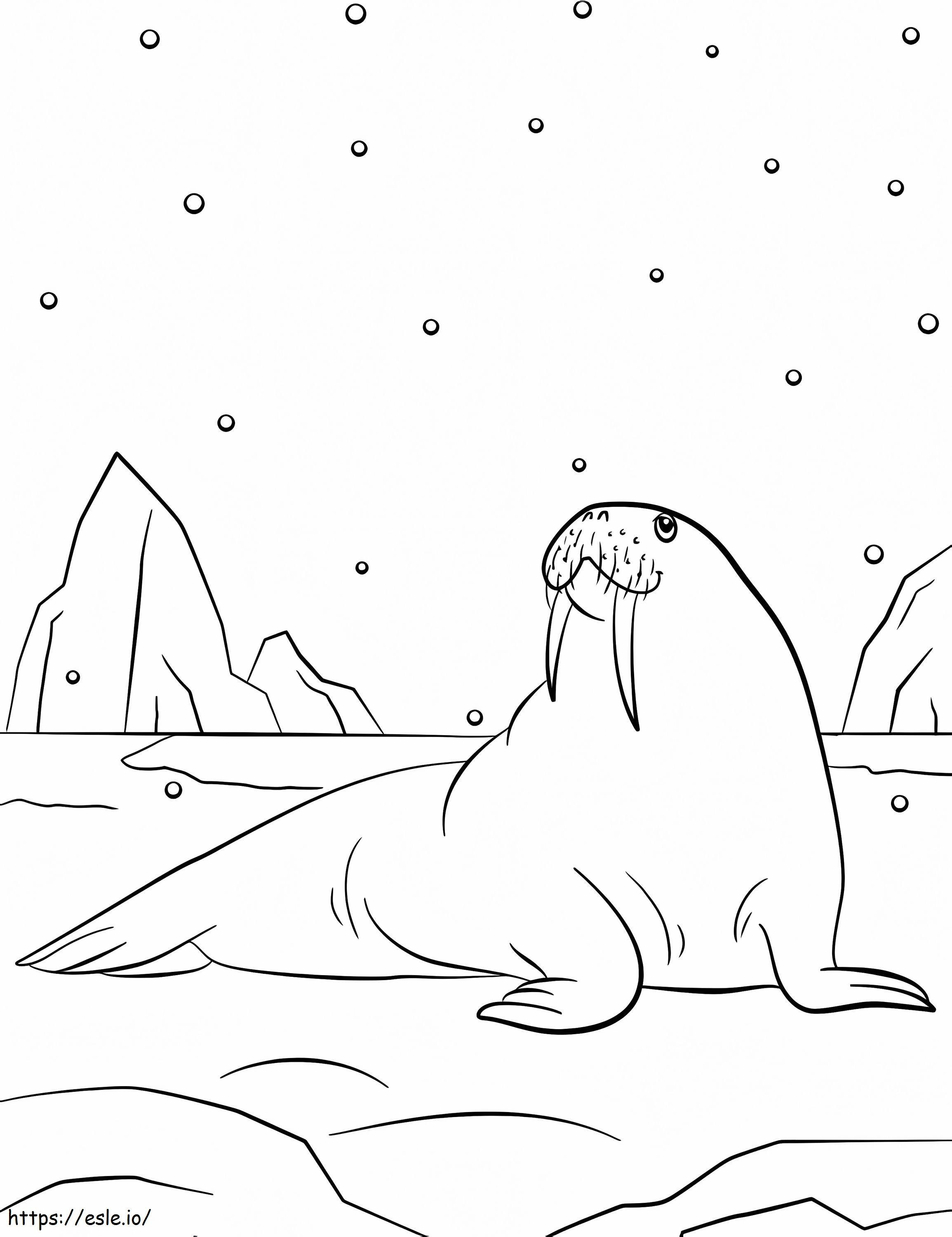 Walrus And Snowflakes coloring page