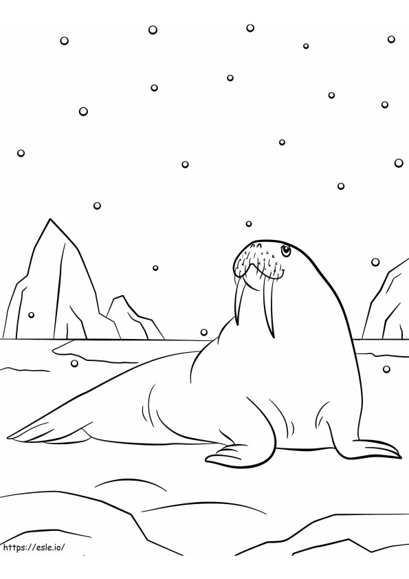 Walrussen En Sneeuwvlokken kleurplaat