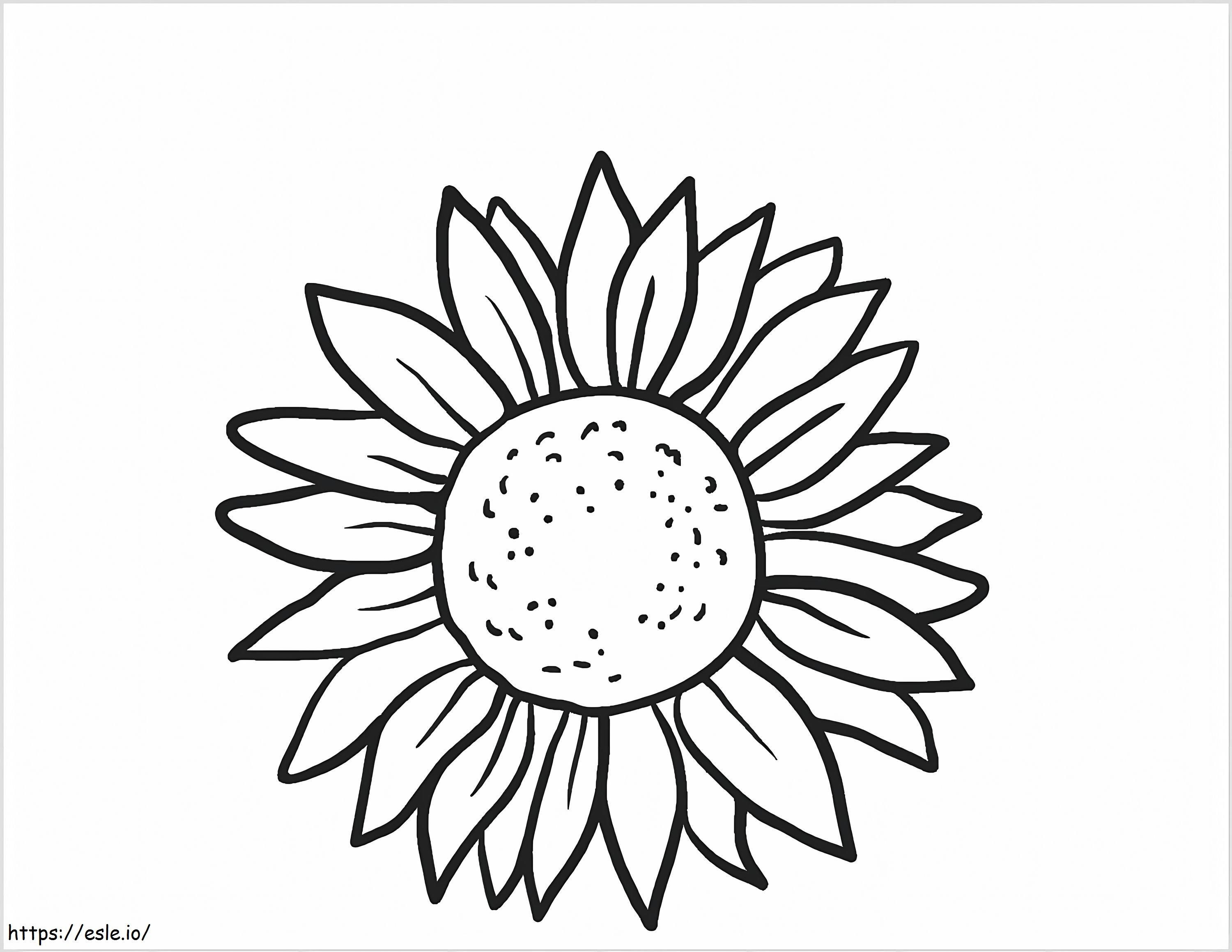 Stunning Sunflower coloring page