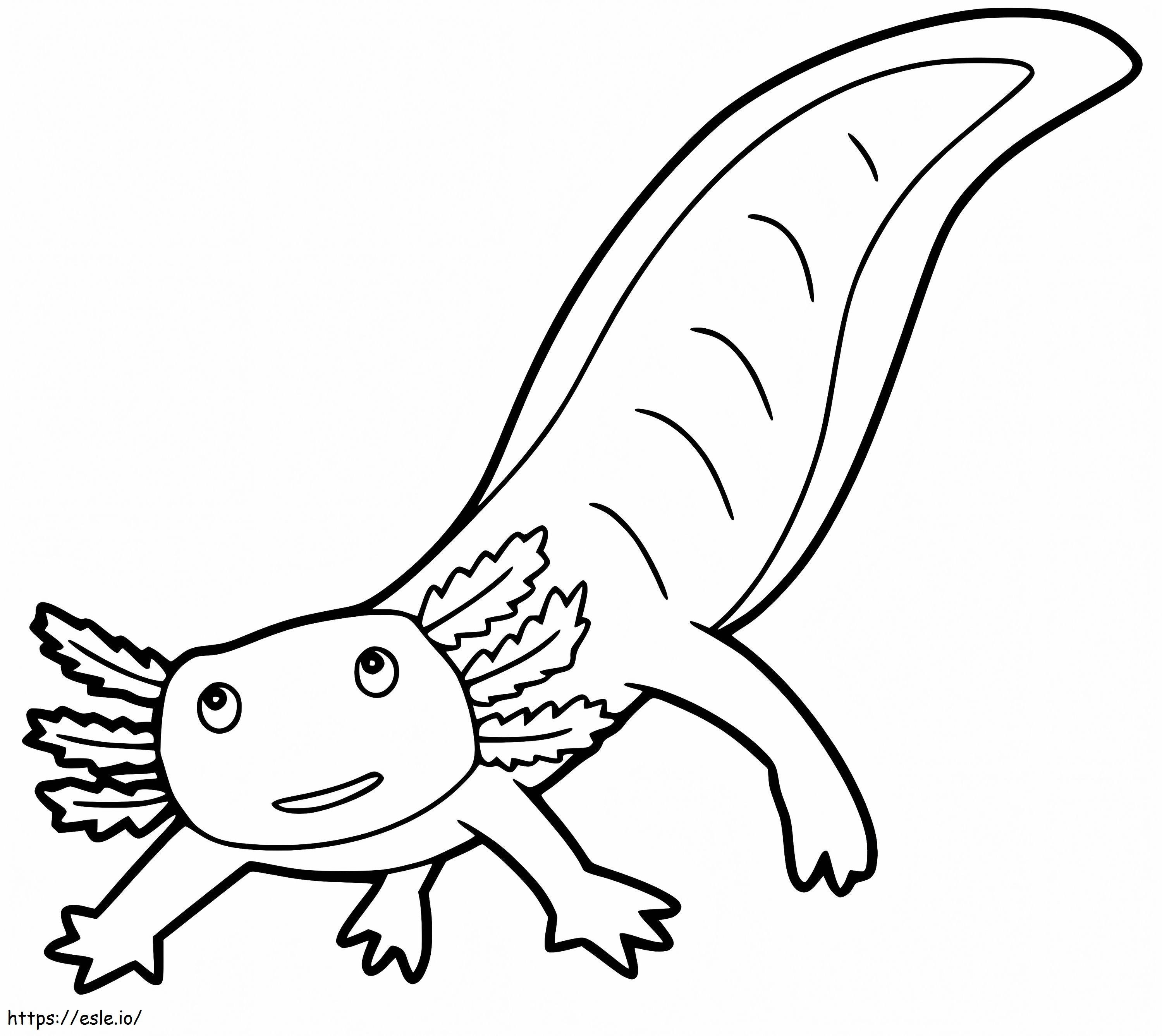 Adorabile Axolotl da colorare