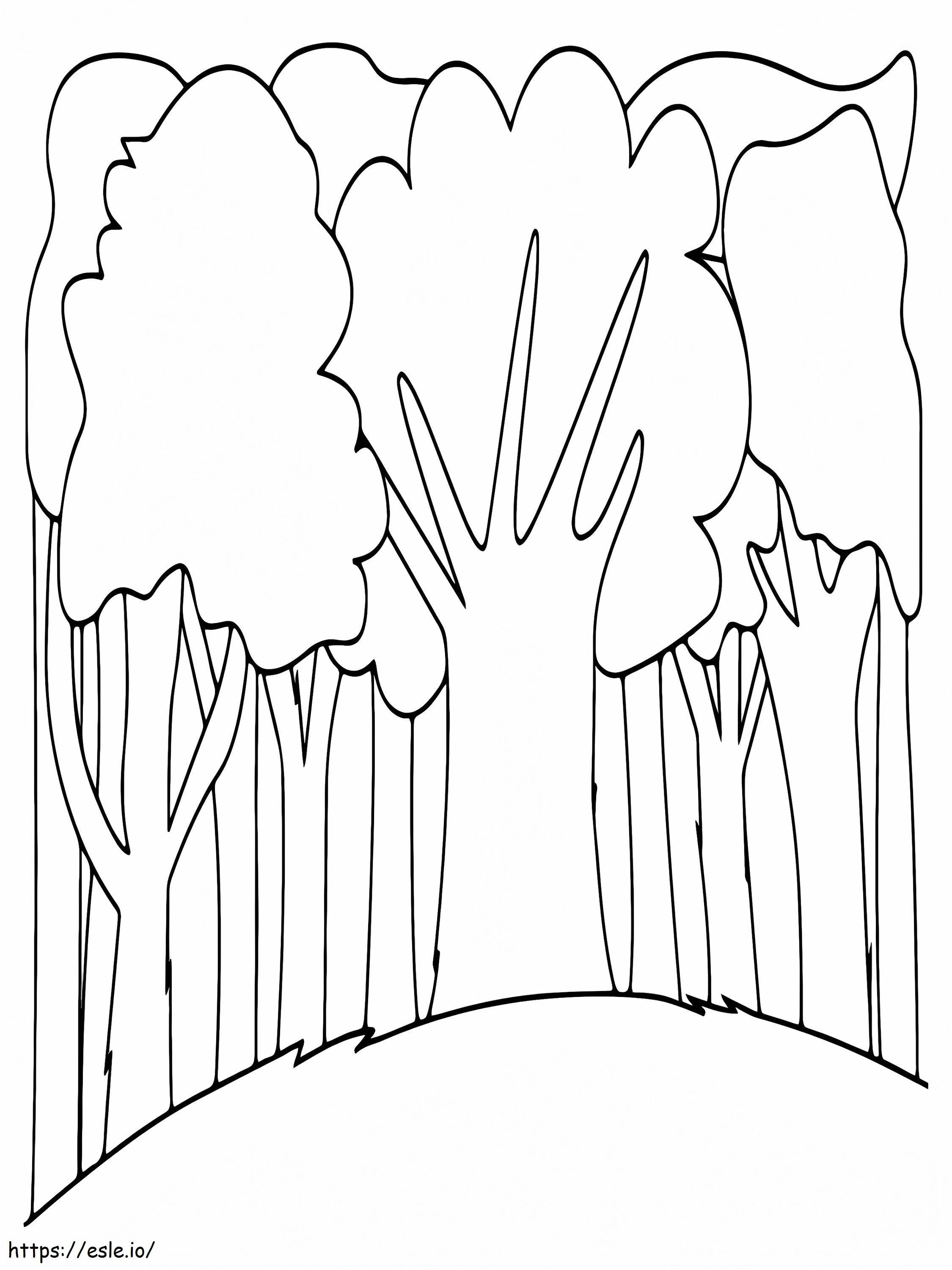 Eenvoudige bomen in het bos kleurplaat kleurplaat
