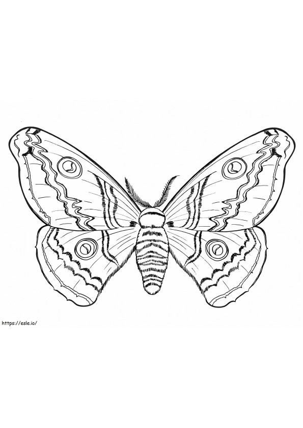 Realistische vlinder kleurplaat