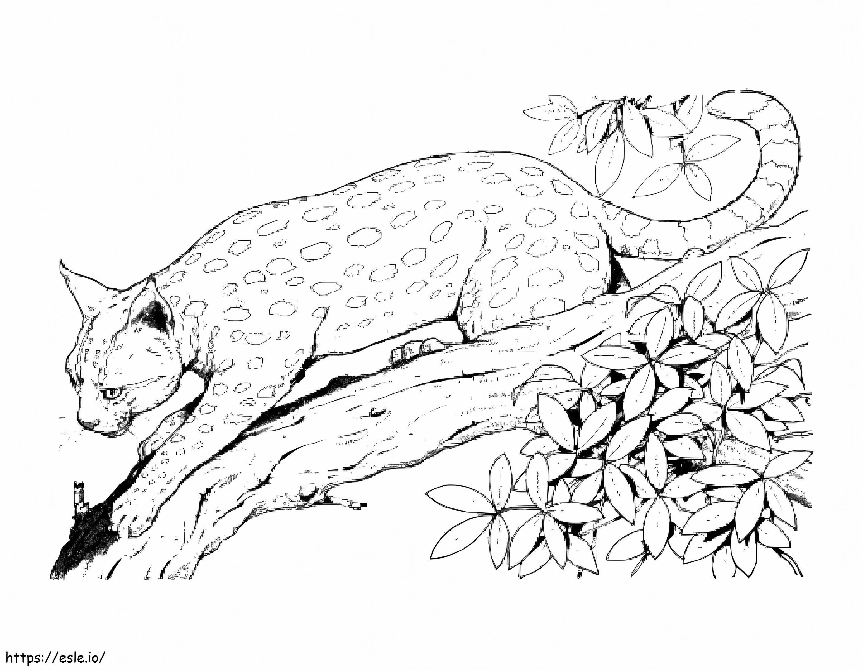Lynx yang dapat dicetak Gambar Mewarnai