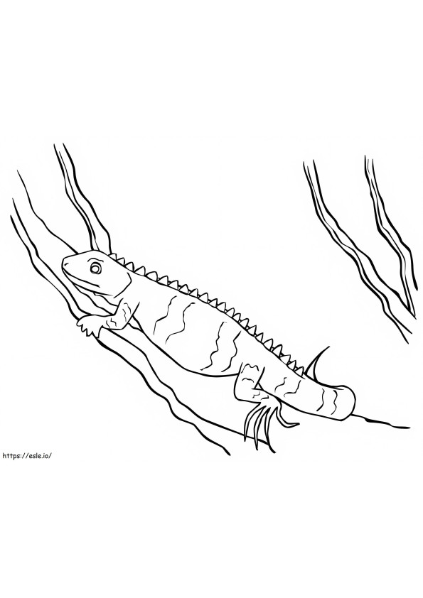 Iguana In A Tree coloring page