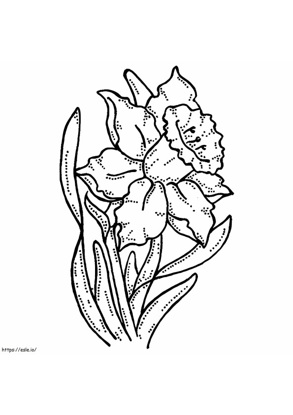 Narciso 1 coloring page