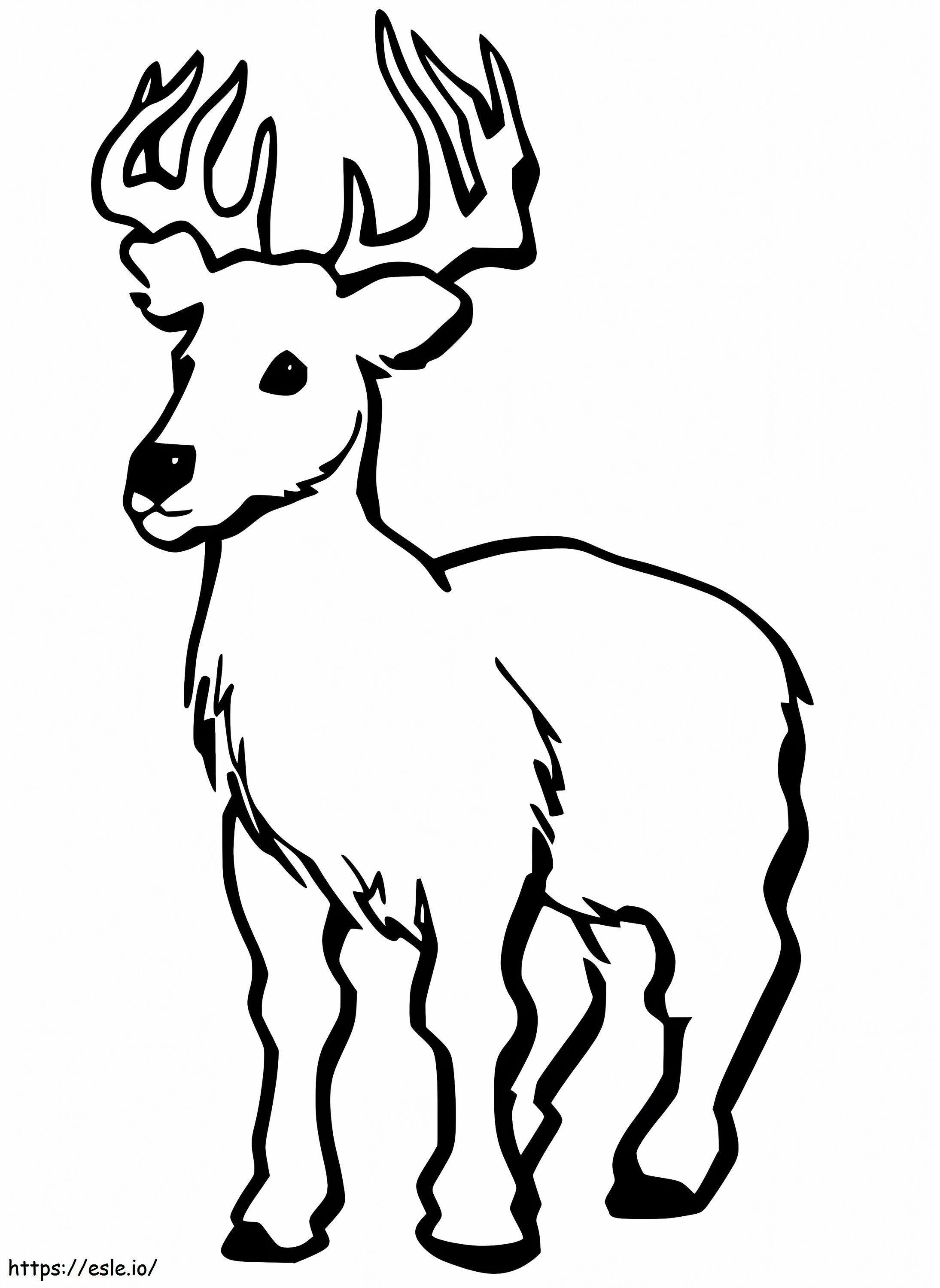 Little Red Deer coloring page