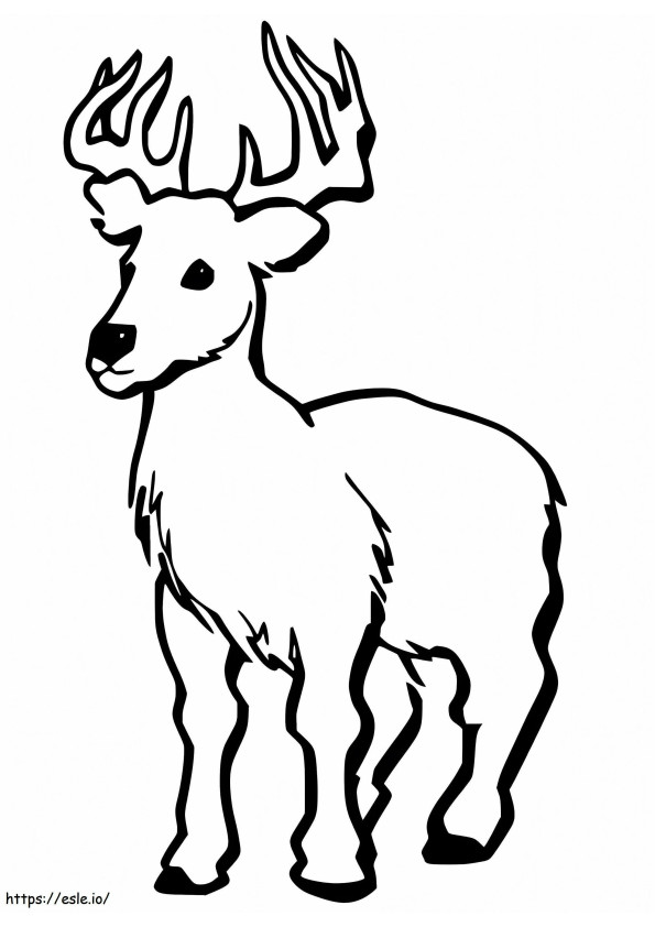 Little Red Deer coloring page