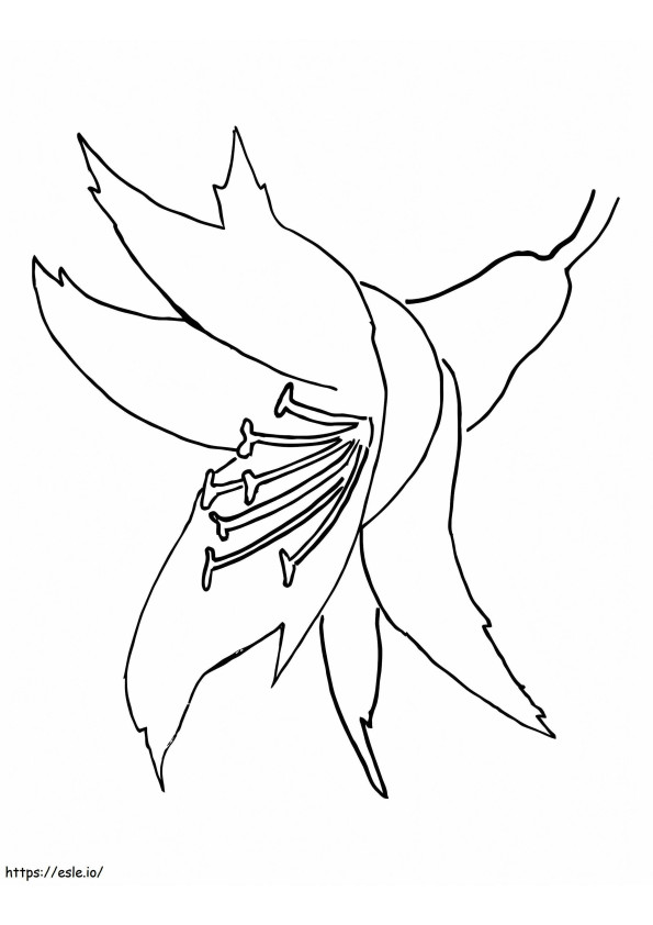 Coloriage Orchidée simple à imprimer dessin