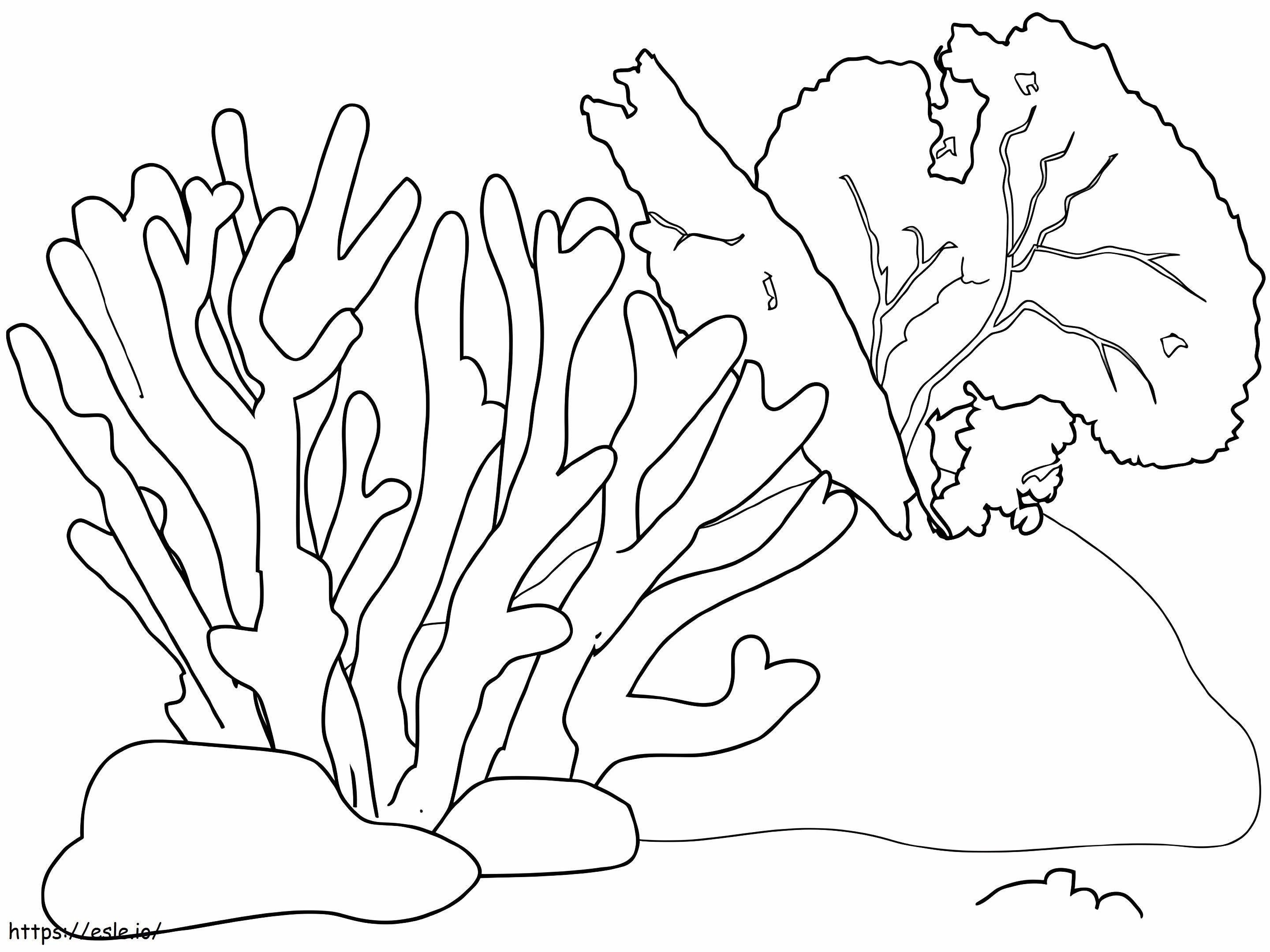 Coral normal para colorir