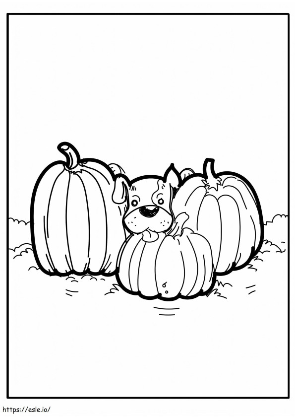 Dog With Three Pumpkins coloring page