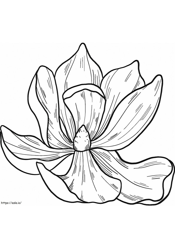 Flor de magnolia 2 para colorear