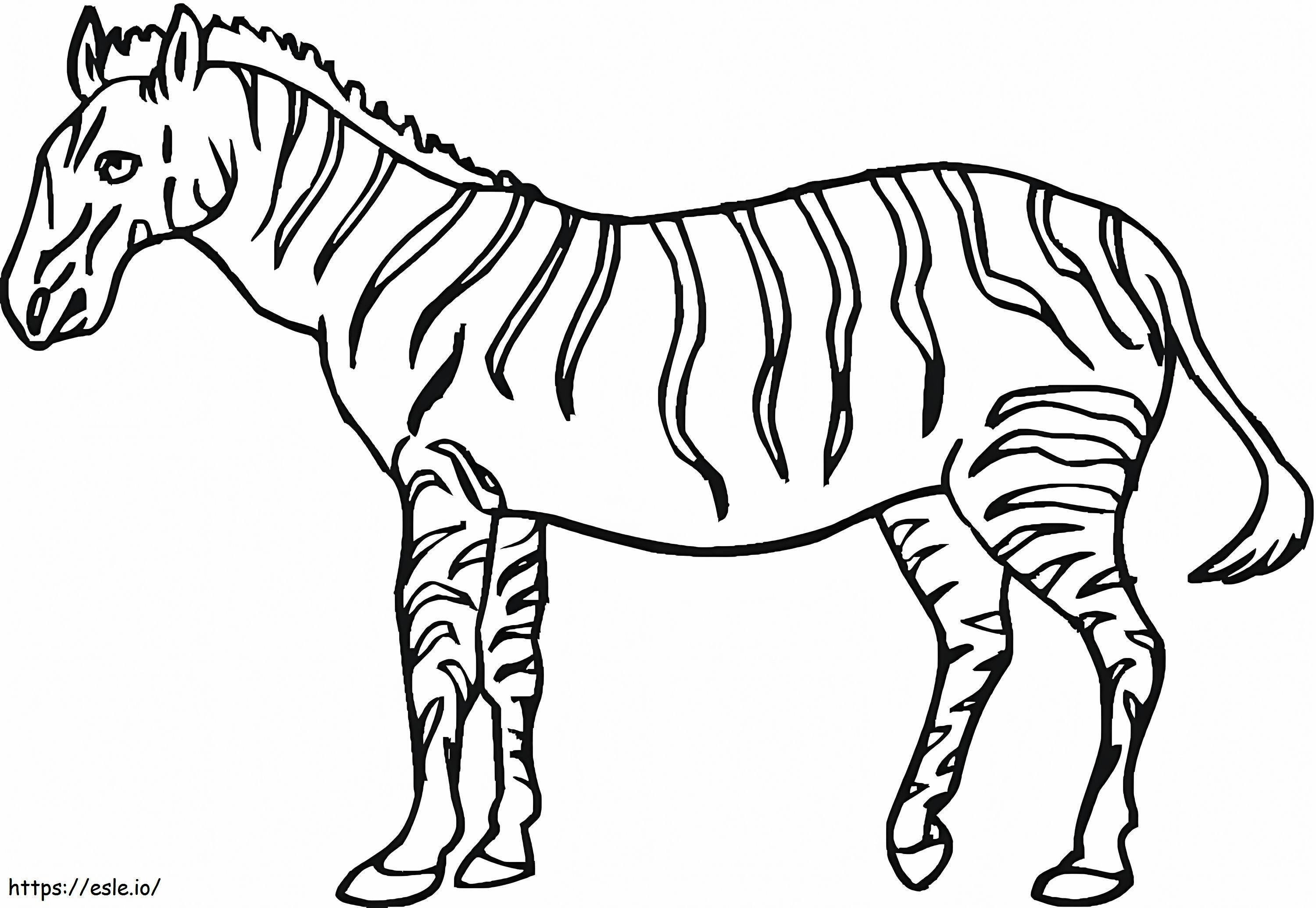 Zebra grande para colorir