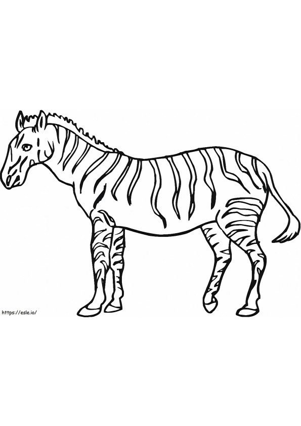 Zebra grande para colorir