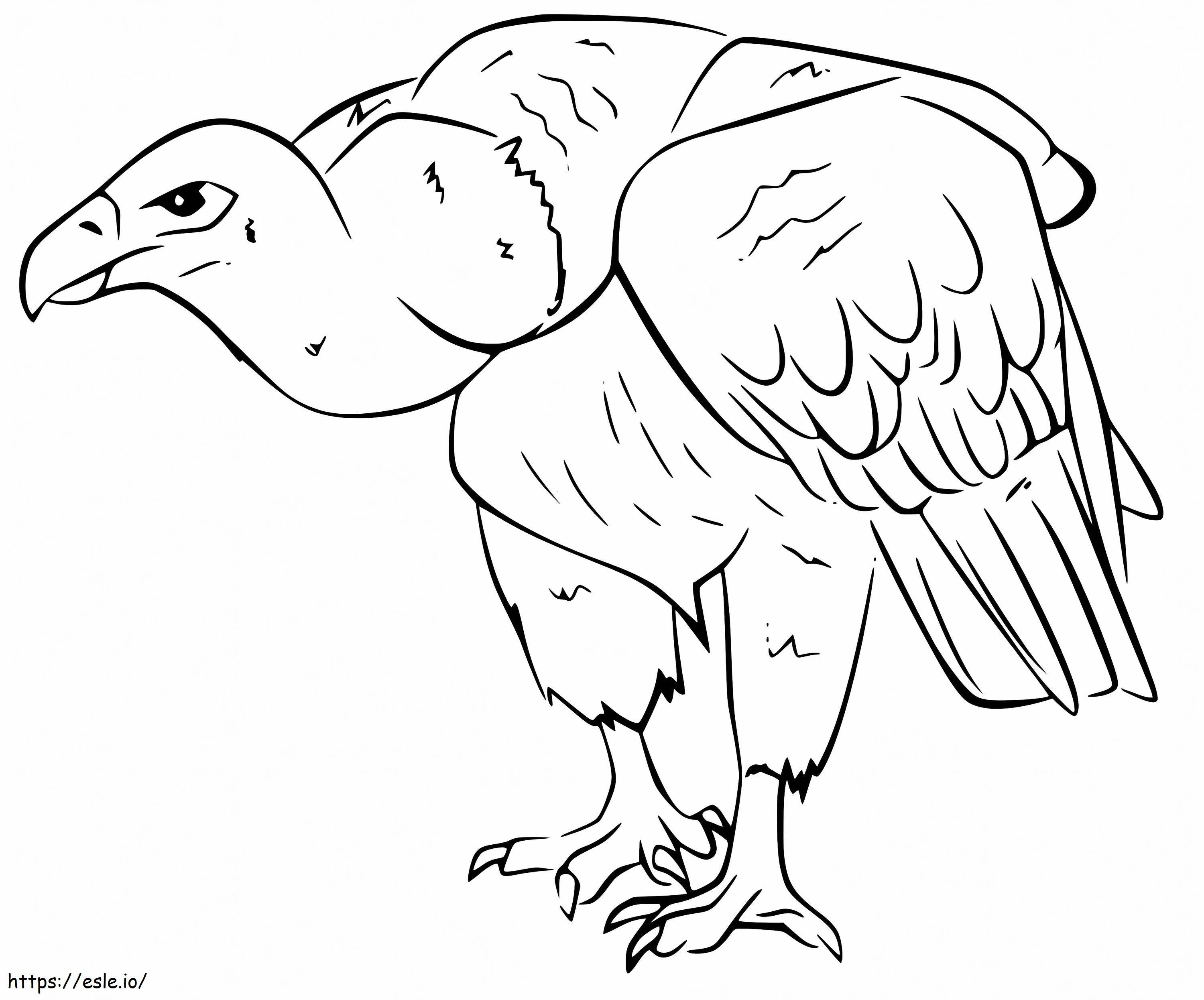 Vulturul 10 de colorat