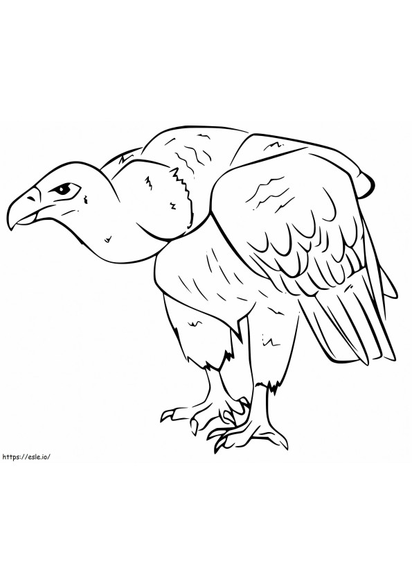 Avvoltoio 10 da colorare