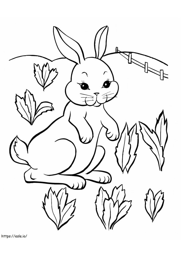 Conejo en el jardín para colorear