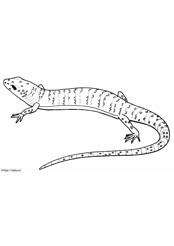 Perfekter Gecko ausmalbilder