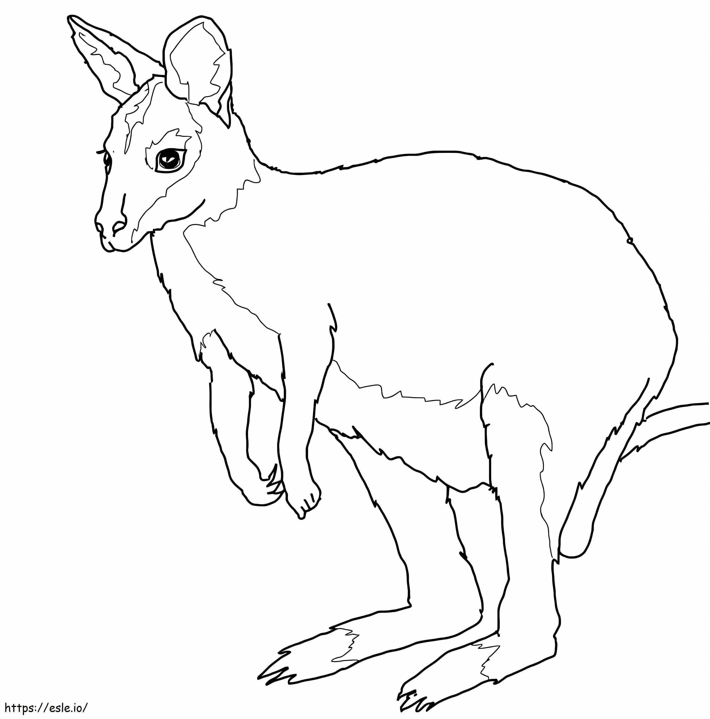 Wallaby normale da colorare