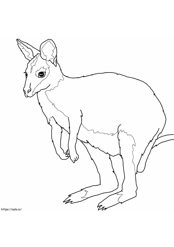 Coloriage Wallaby normal à imprimer dessin
