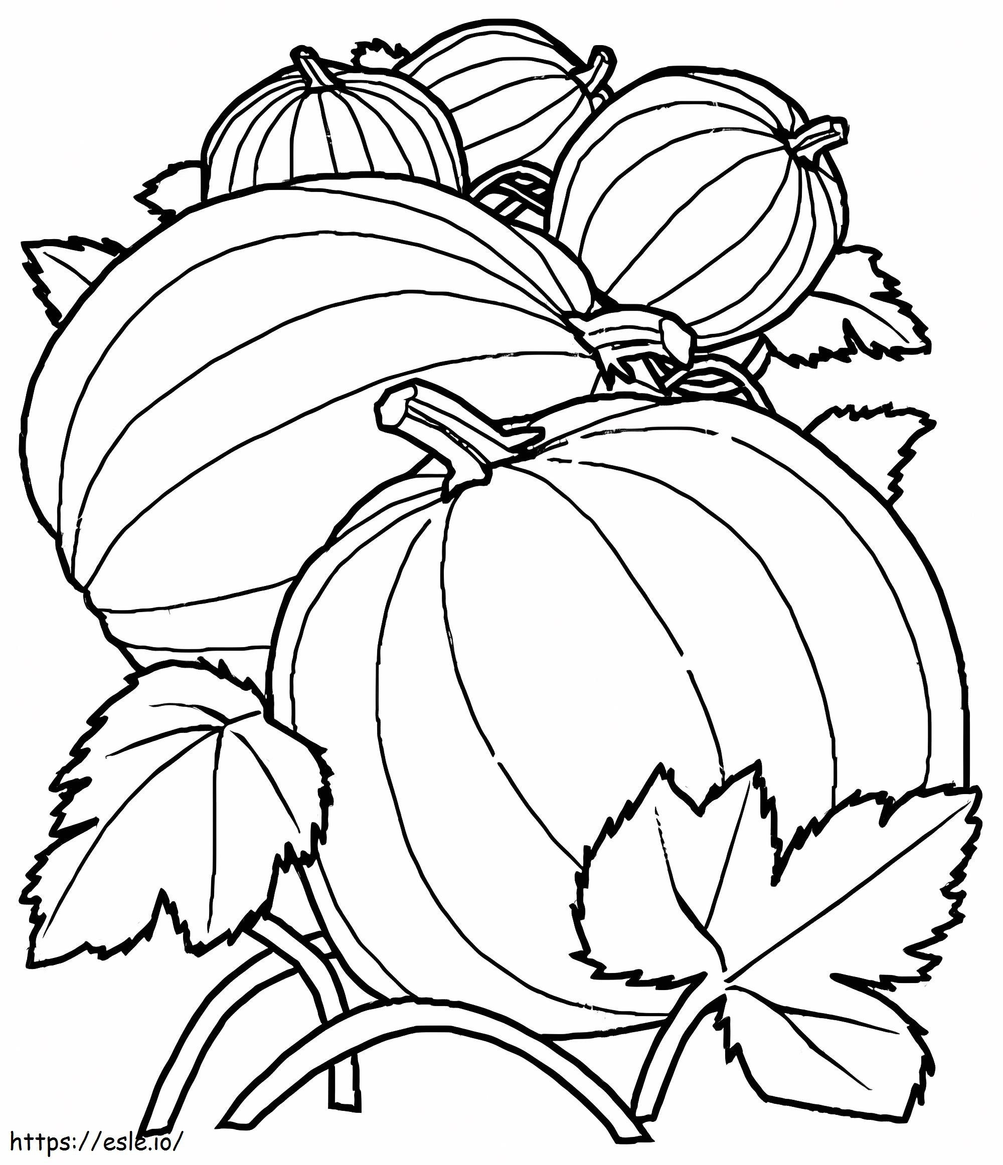 Pumpkin Patch To Color coloring page