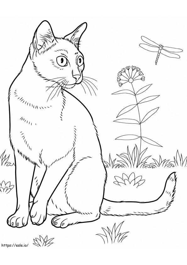 Bombay Cat värityskuva