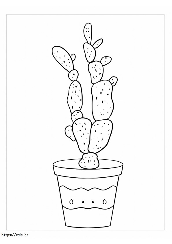 Kaktus palcowy damy kolorowanka