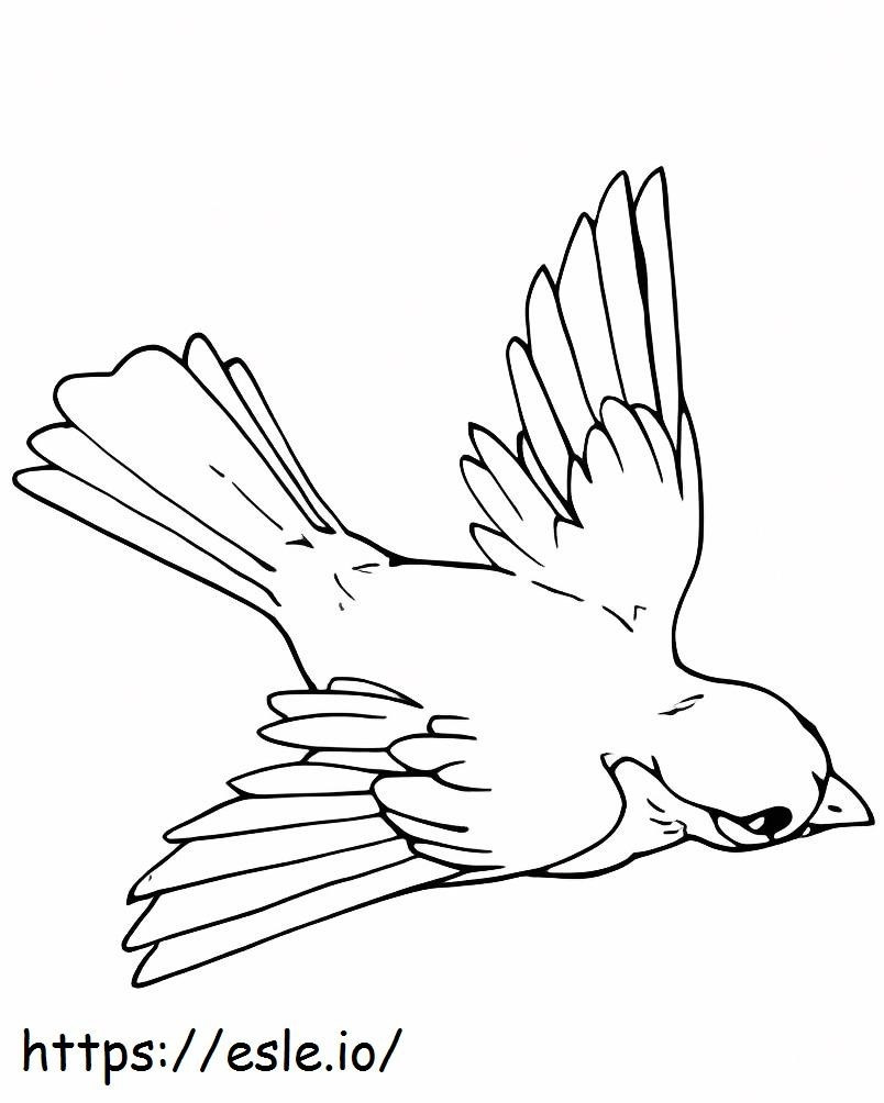 Coloriage Petit oiseau geai volant à imprimer dessin