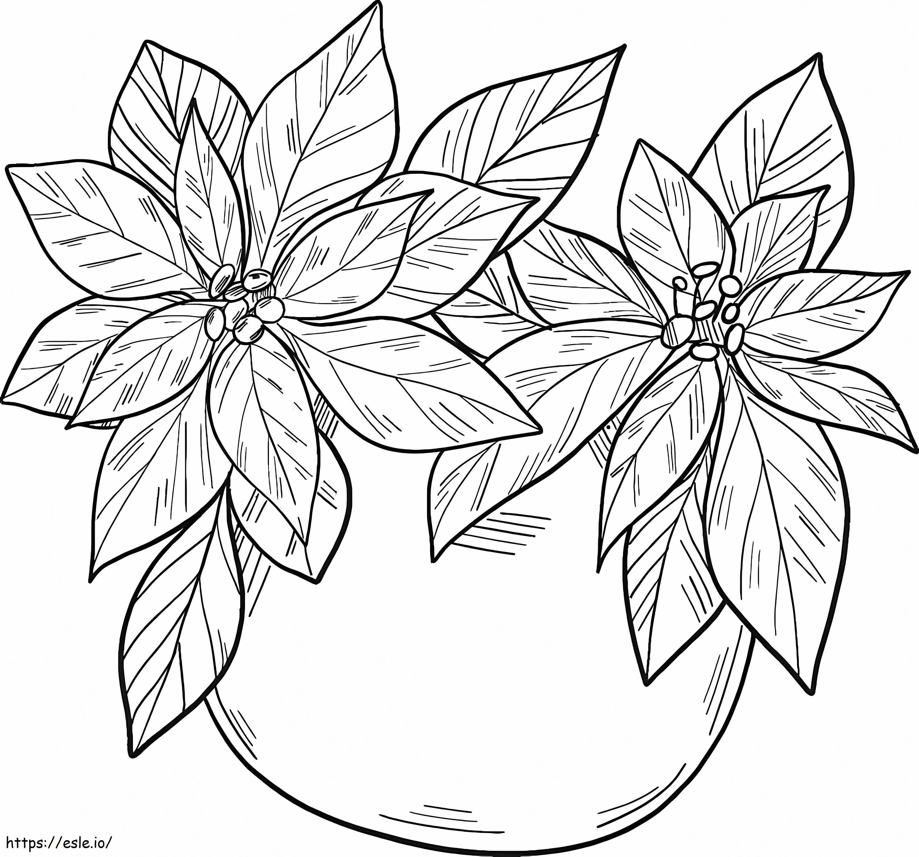 Coloriage Poinsettia gratuit dans un pot à imprimer dessin