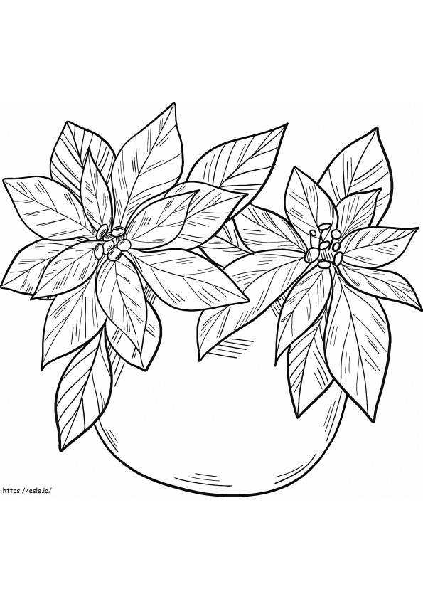 Coloriage Poinsettia gratuit dans un pot à imprimer dessin