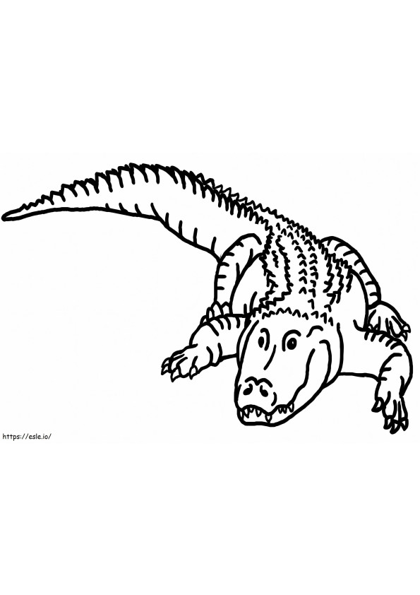 Alligator zum Ausdrucken ausmalbilder