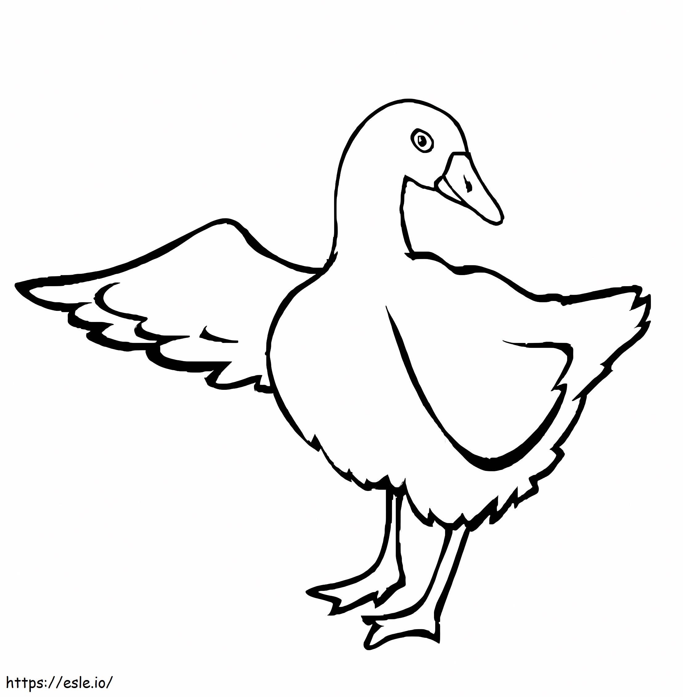 Nice Goose coloring page