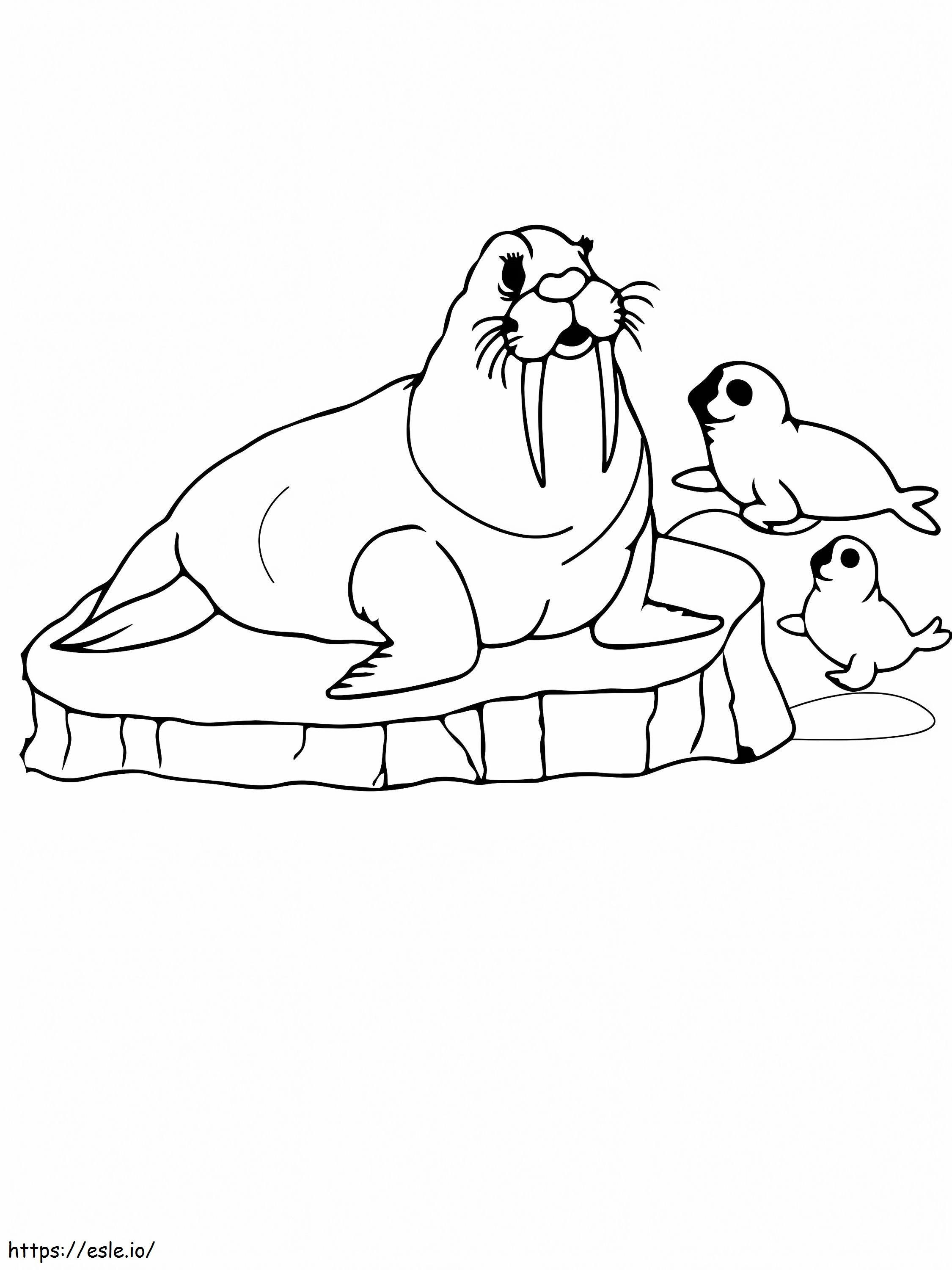Walrus And Calves Arctic Animals coloring page