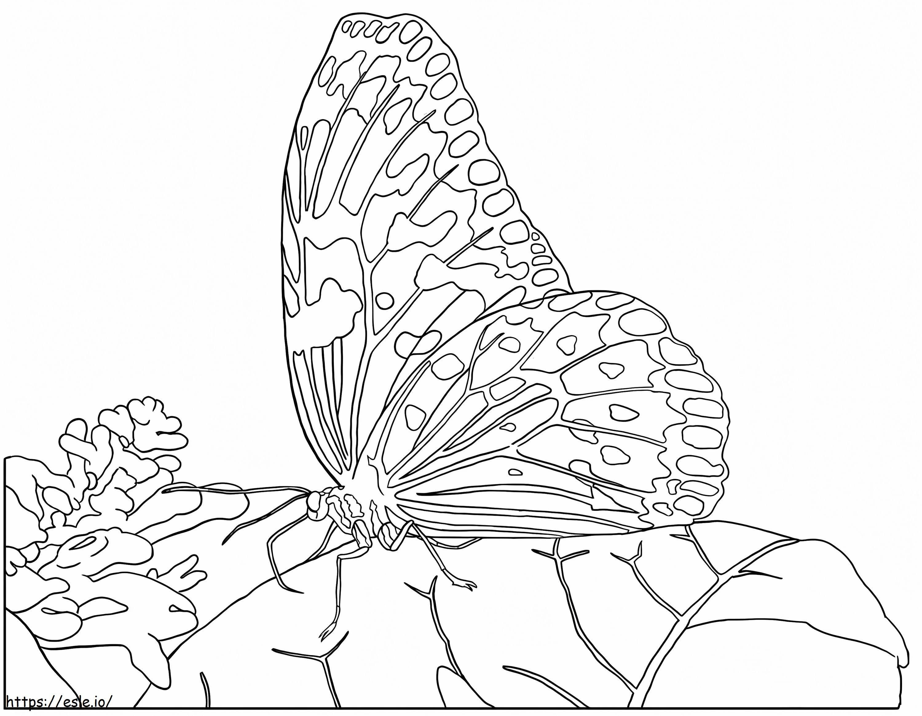 Rice Paper Butterfly coloring page