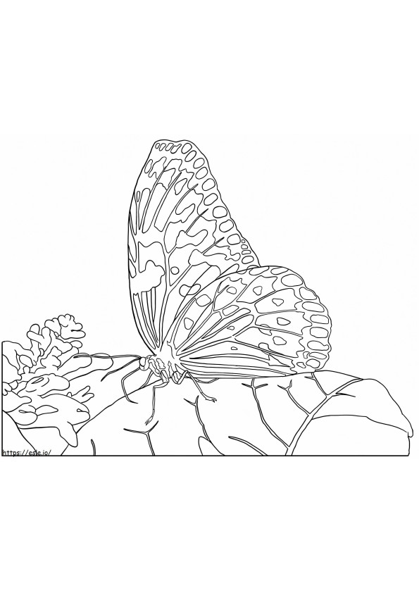 Fluture de hârtie de orez de colorat