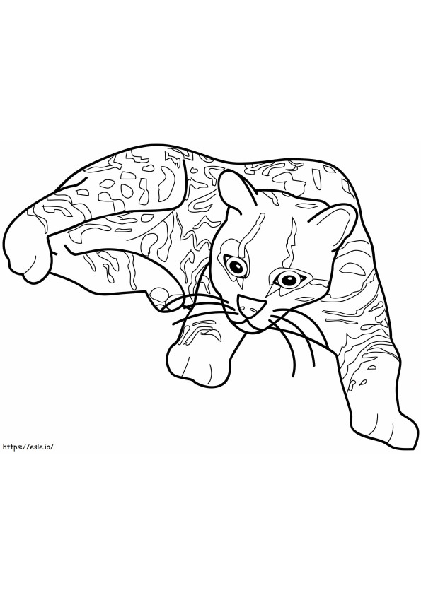 Ocelot Printable coloring page