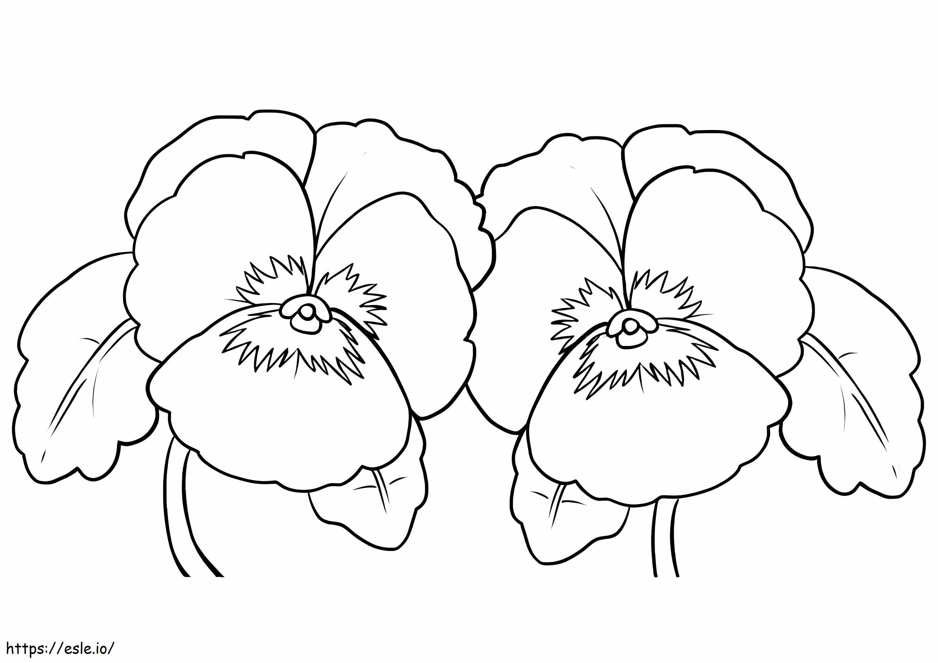 Two Pansies coloring page