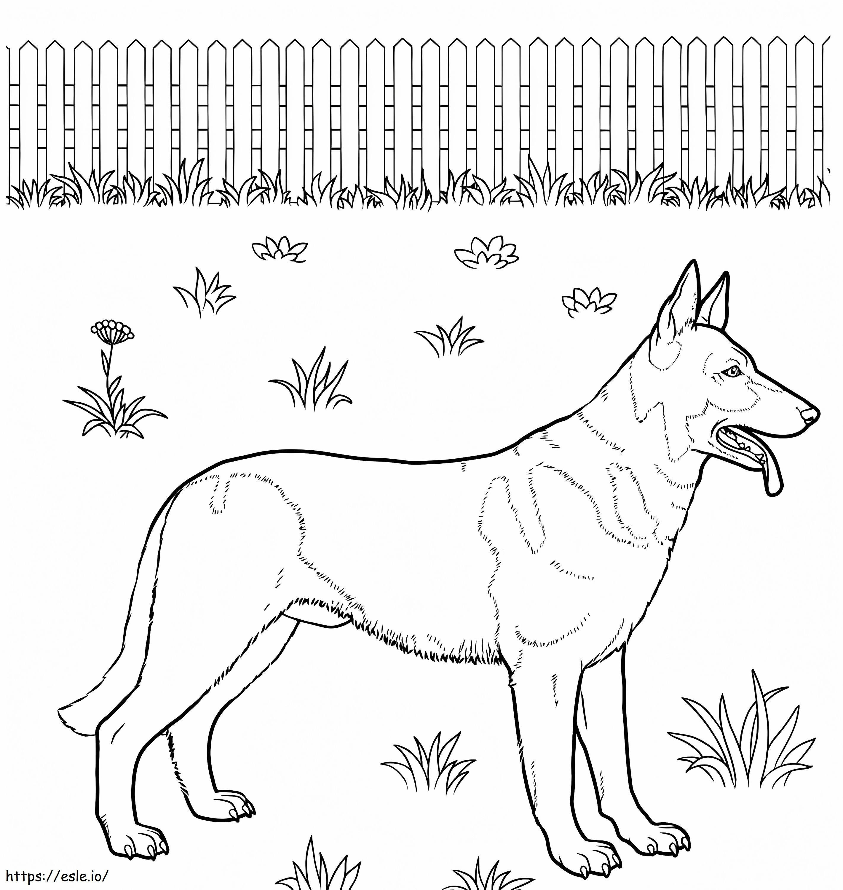 German Shepherd 1 coloring page
