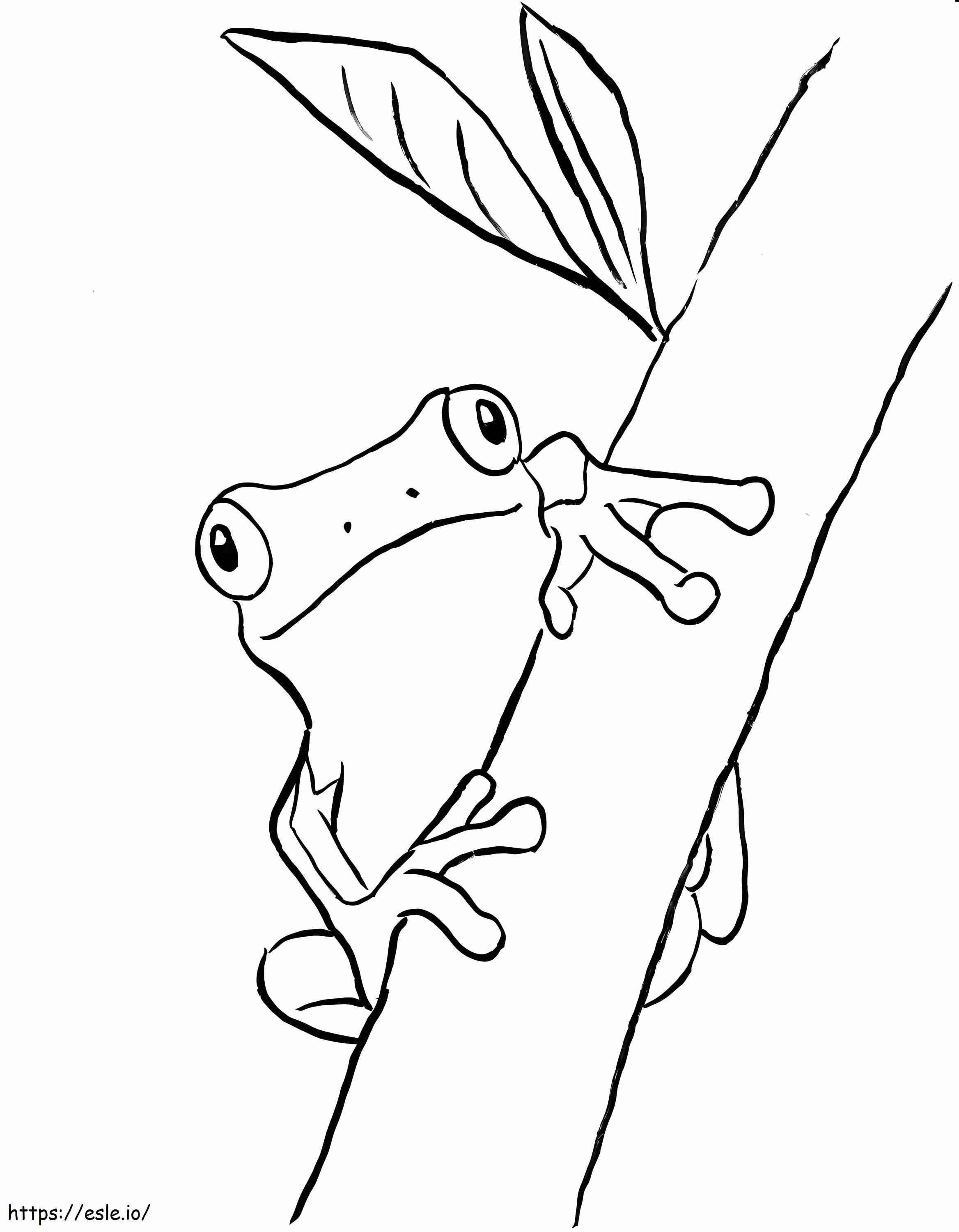 Żaba wspinająca się po gałęziach drzewa kolorowanka