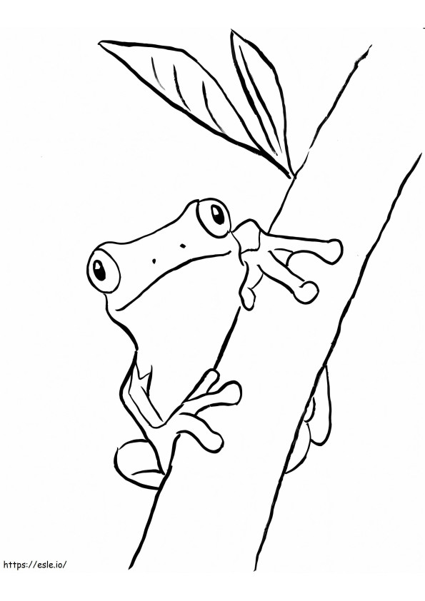 Coloriage Arbre de branche d'escalade de grenouille à imprimer dessin