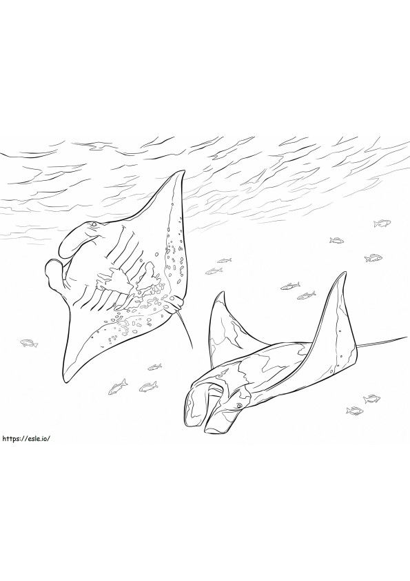Two Manta Rays coloring page