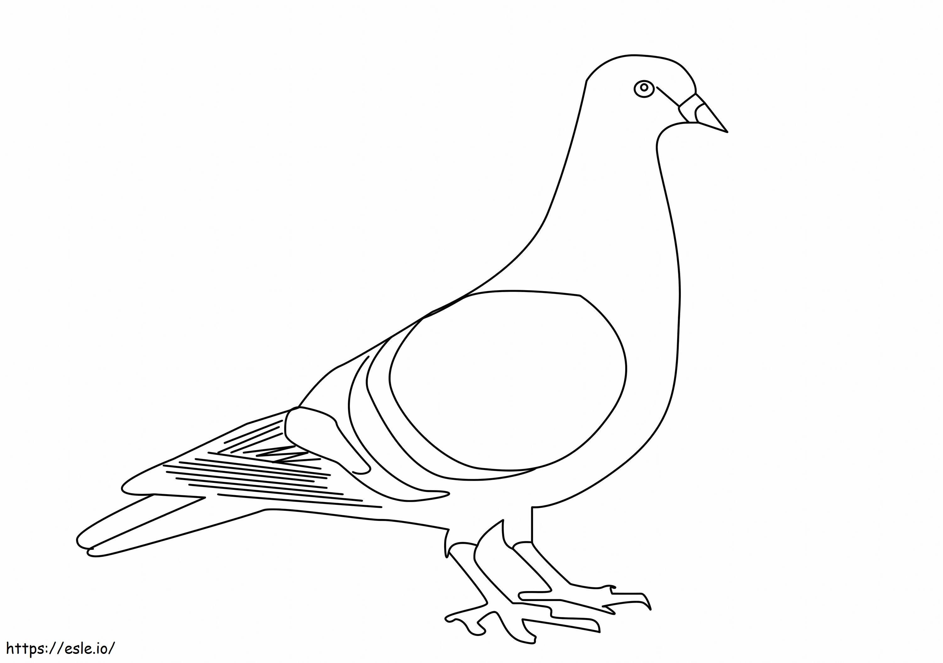 Coloriage Pigeon 3 à imprimer dessin